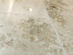 Jura Gelb poliert Fliese Bahnenware 40,6x40-90x 1 cm...
