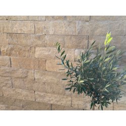 Dietfurter Kalkstein gala® beige Spaltmauerwerk